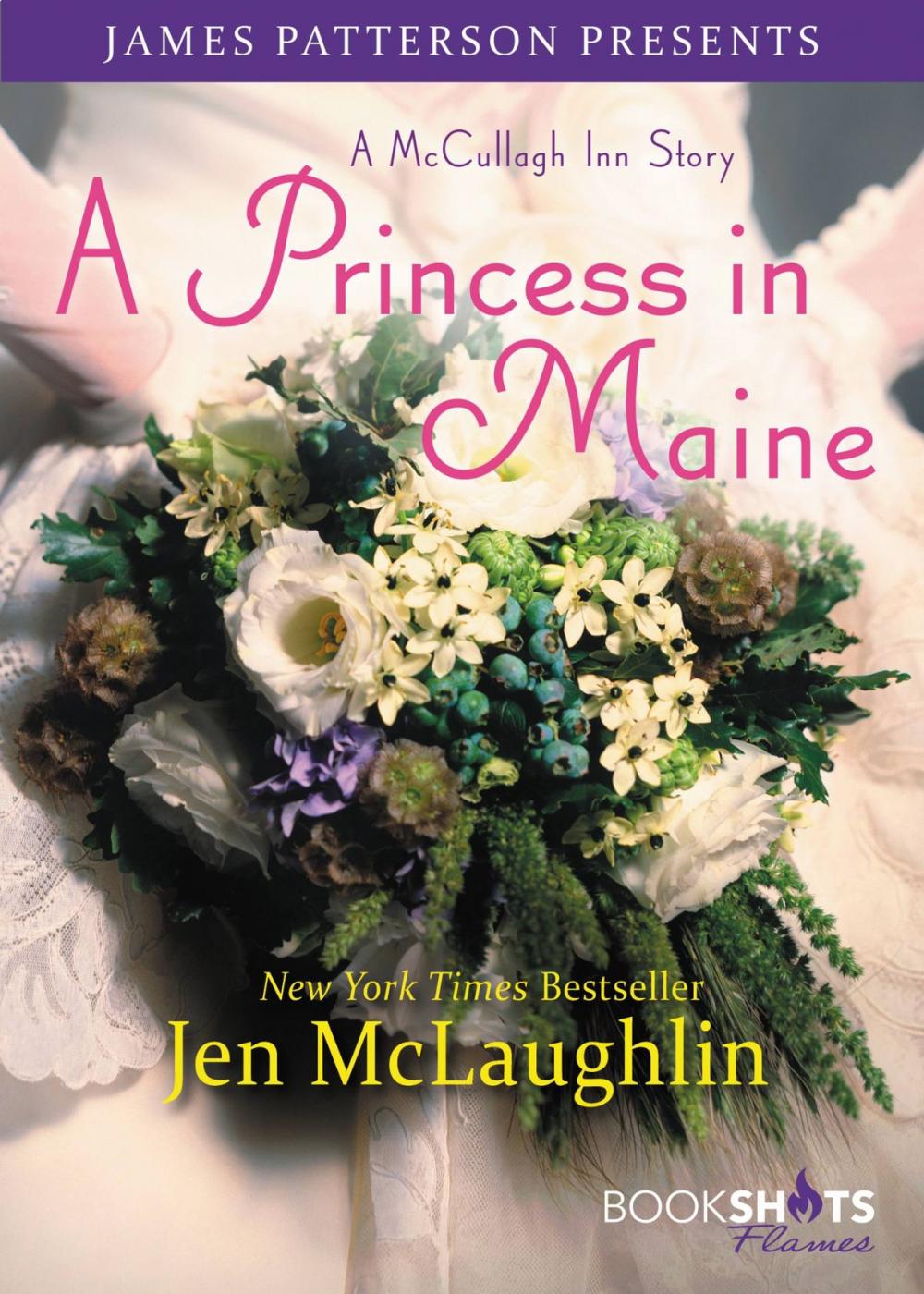 Big bigCover of A Princess in Maine