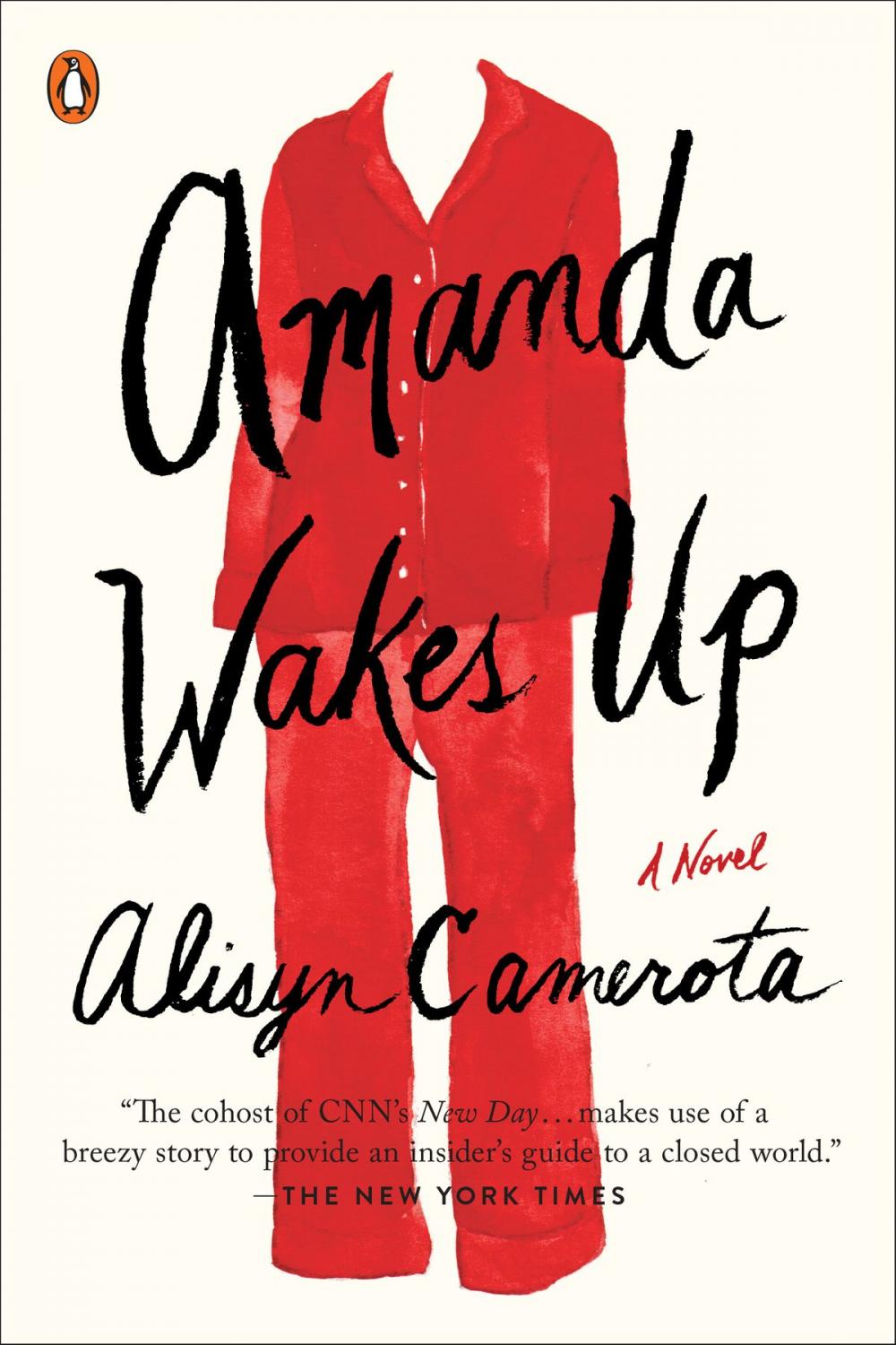 Big bigCover of Amanda Wakes Up