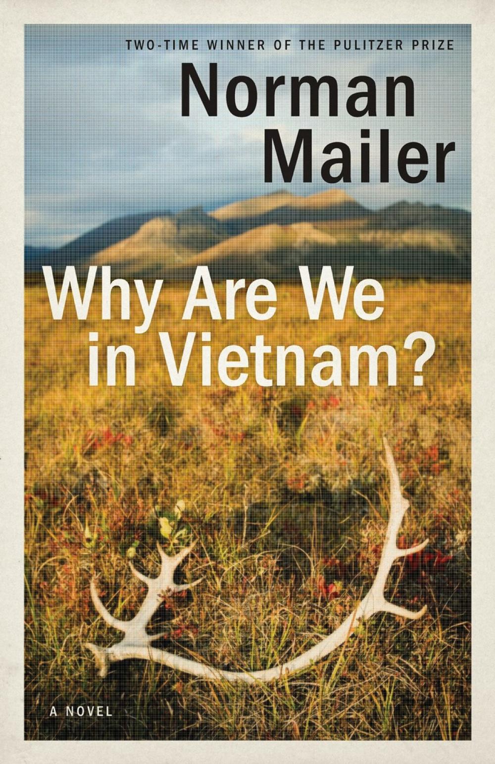 Big bigCover of Why Are We in Vietnam?