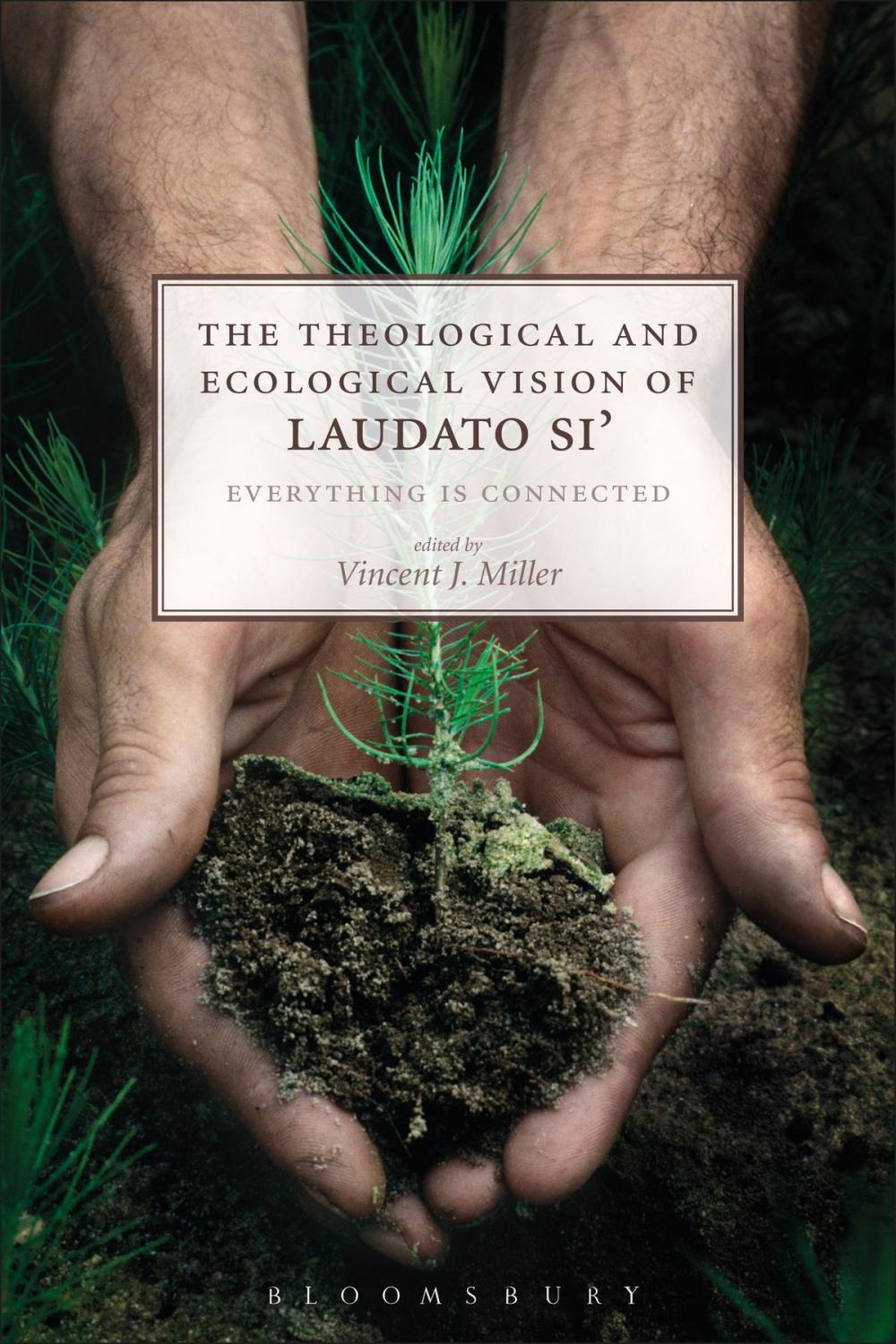 Big bigCover of The Theological and Ecological Vision of Laudato Si'