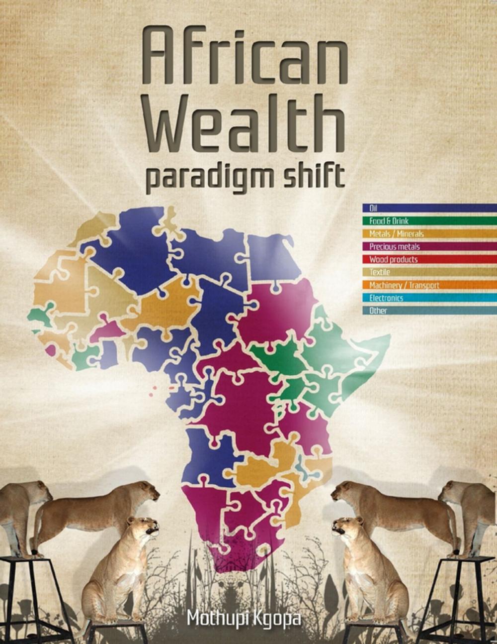 Big bigCover of African Wealth Paradigm Shift