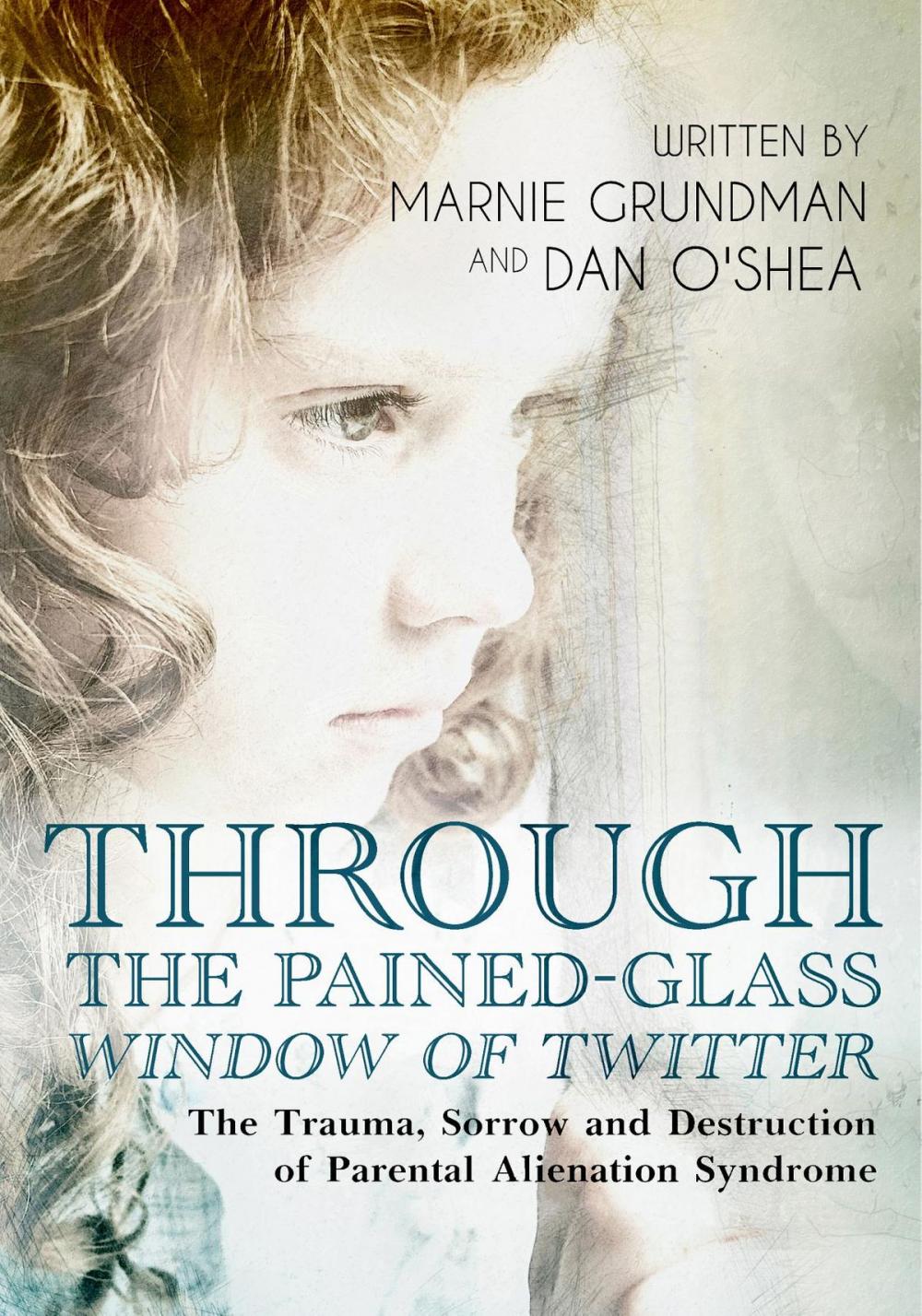 Big bigCover of Through the Pained-Glass Window of Twitter