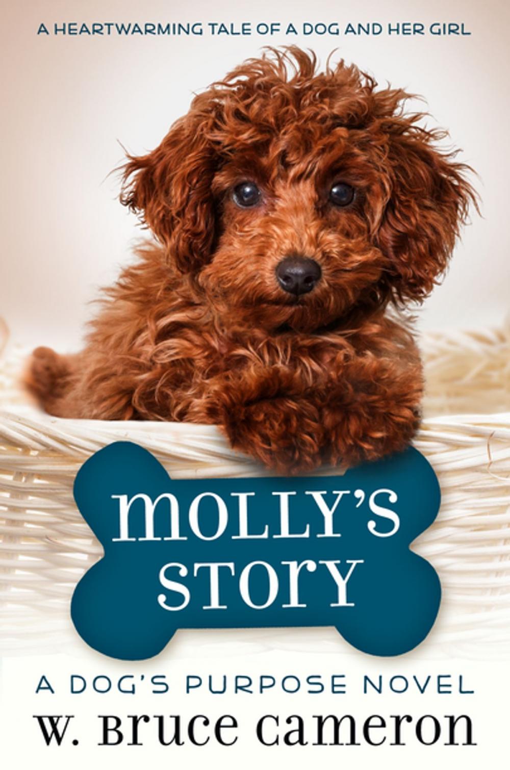 Big bigCover of Molly's Story