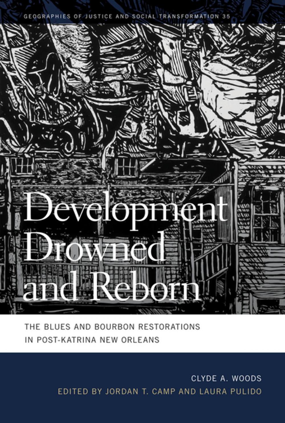 Big bigCover of Development Drowned and Reborn