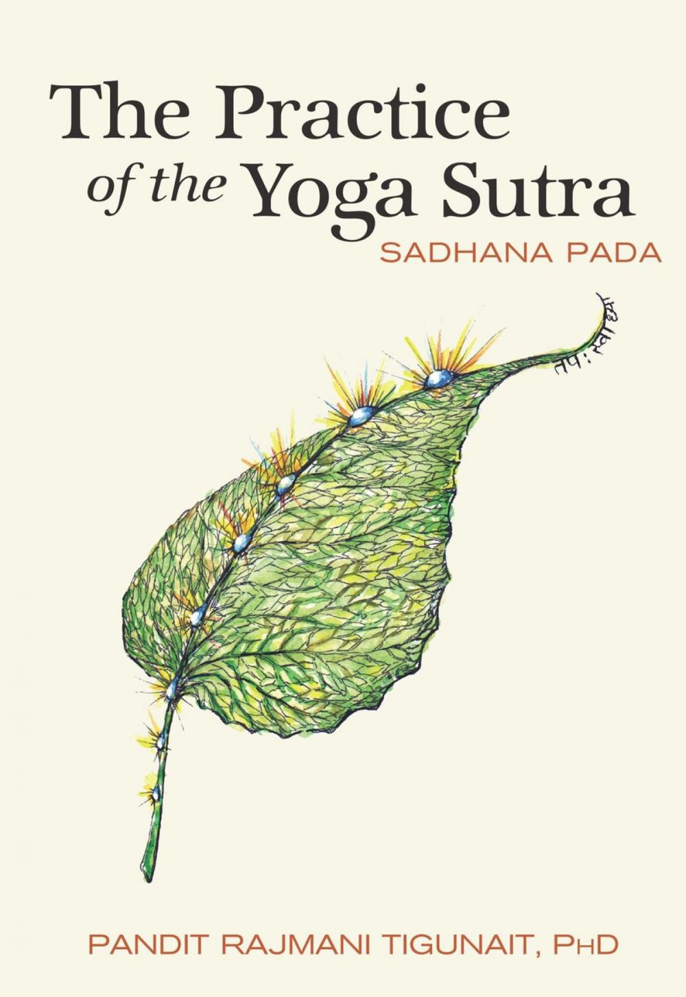 Big bigCover of The Practice of the Yoga Sutra