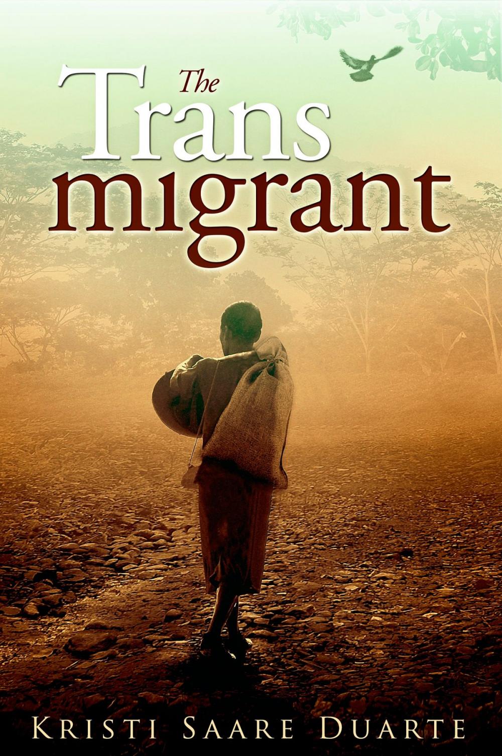 Big bigCover of The Transmigrant