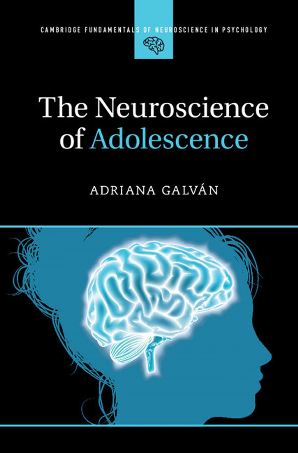 Big bigCover of The Neuroscience of Adolescence