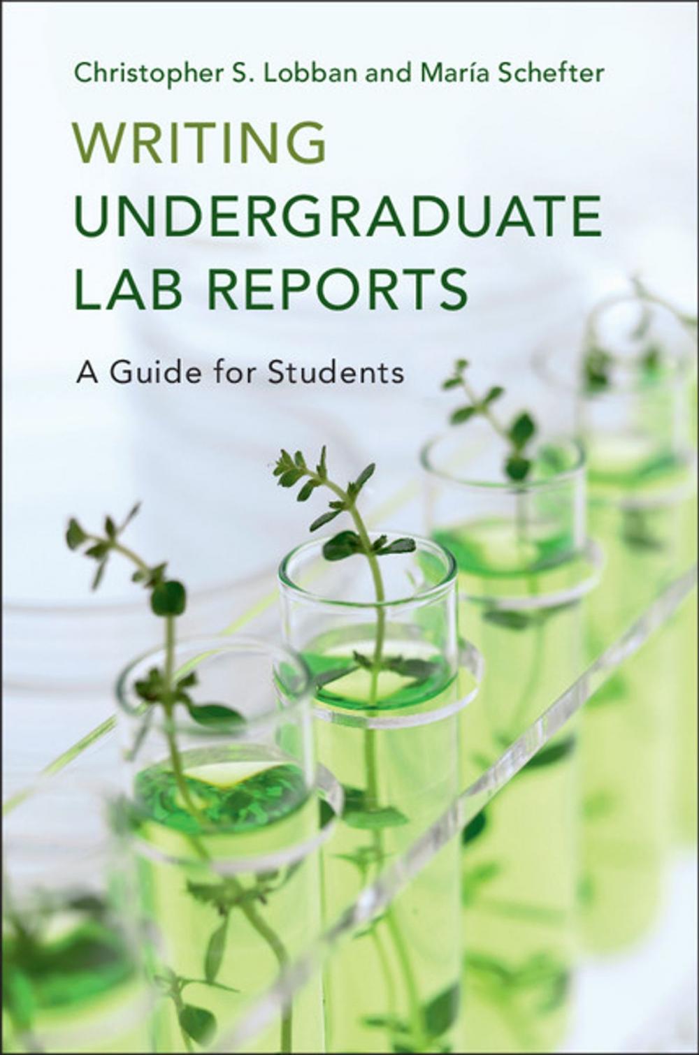 Big bigCover of Writing Undergraduate Lab Reports