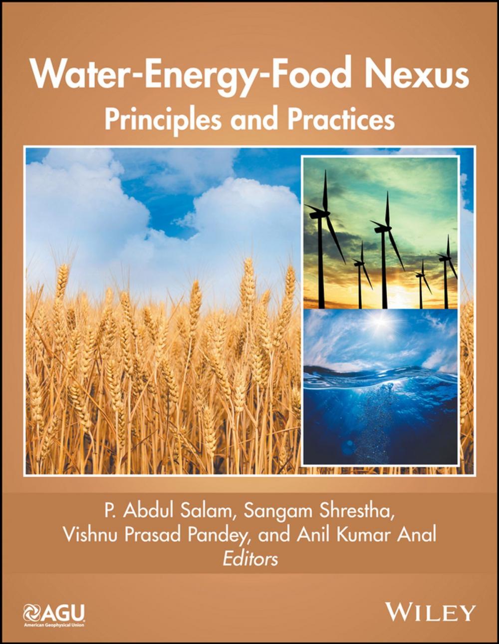 Big bigCover of Water-Energy-Food Nexus