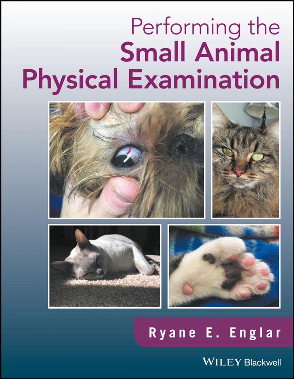 Big bigCover of Performing the Small Animal Physical Examination