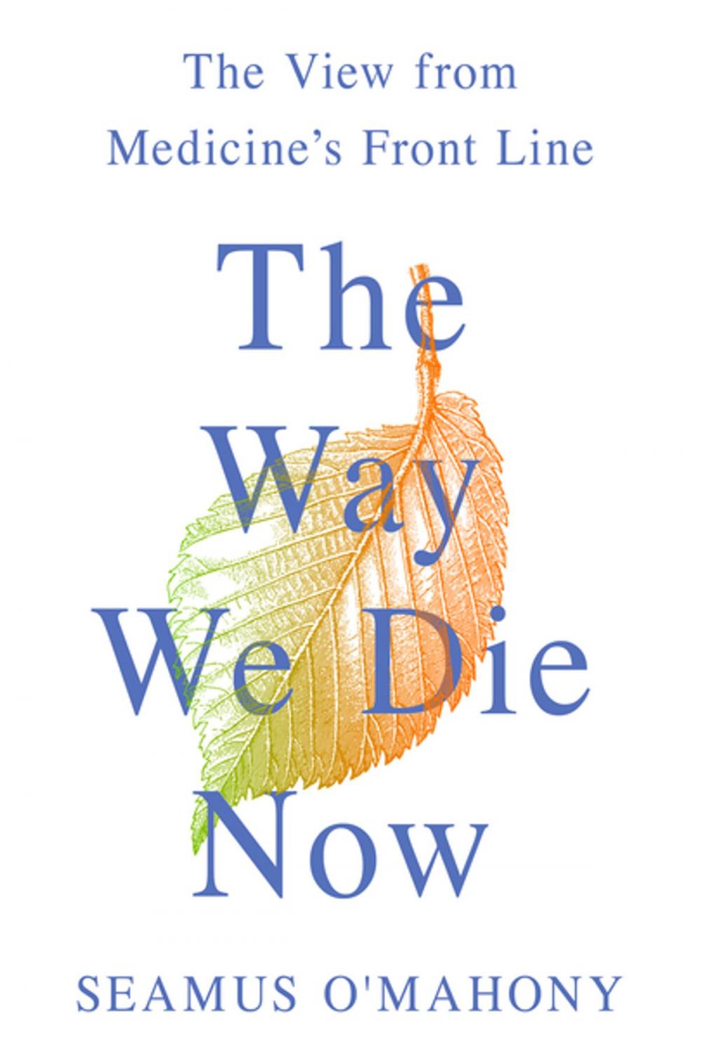 Big bigCover of The Way We Die Now