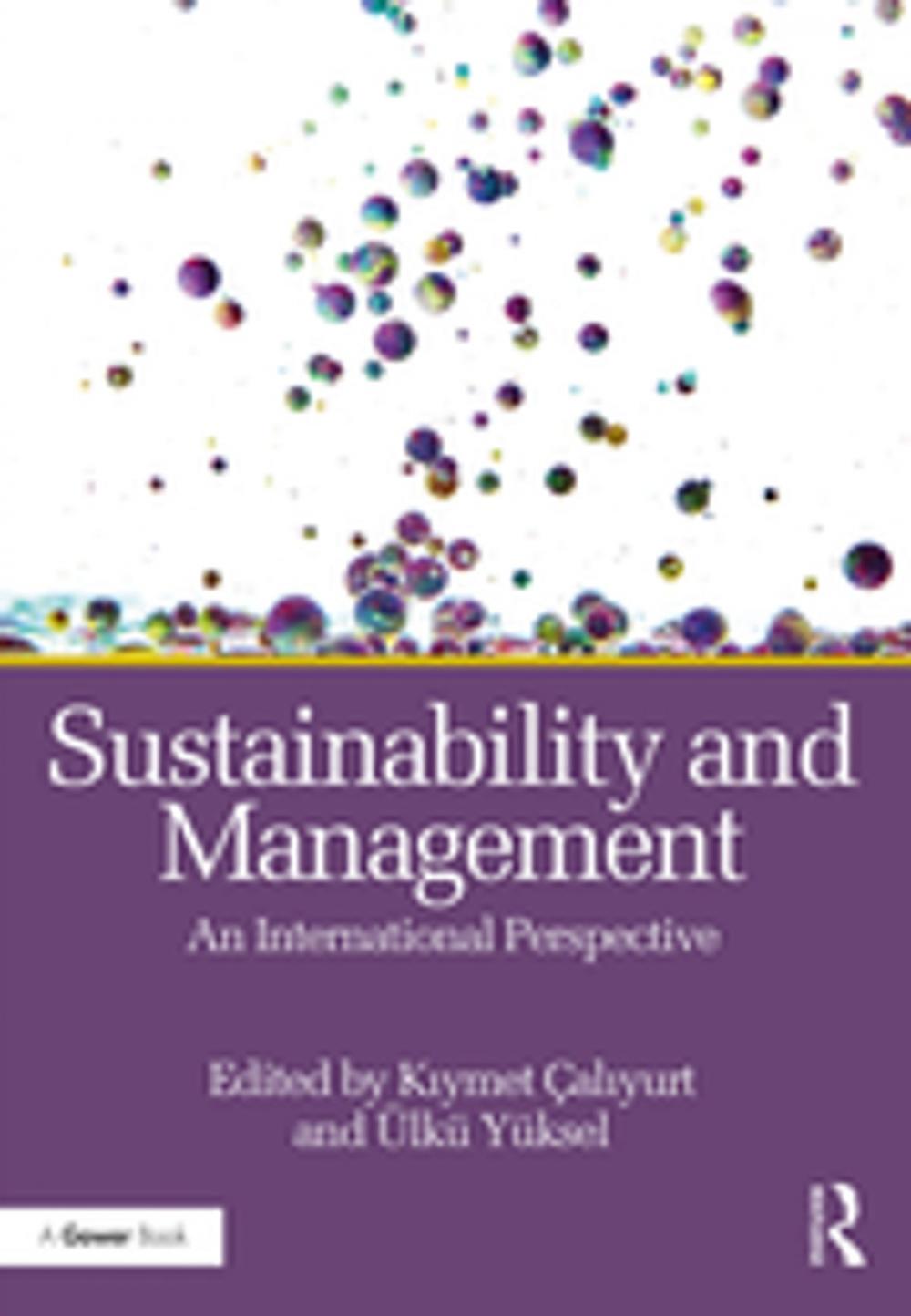 Big bigCover of Sustainability and Management