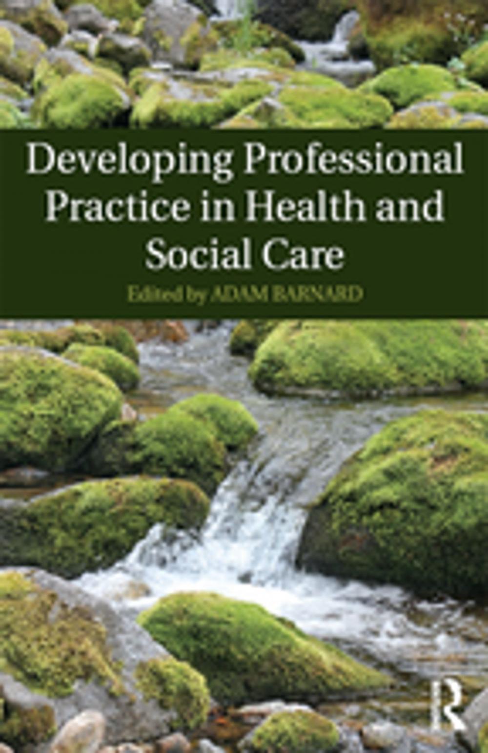 Big bigCover of Developing Professional Practice in Health and Social Care