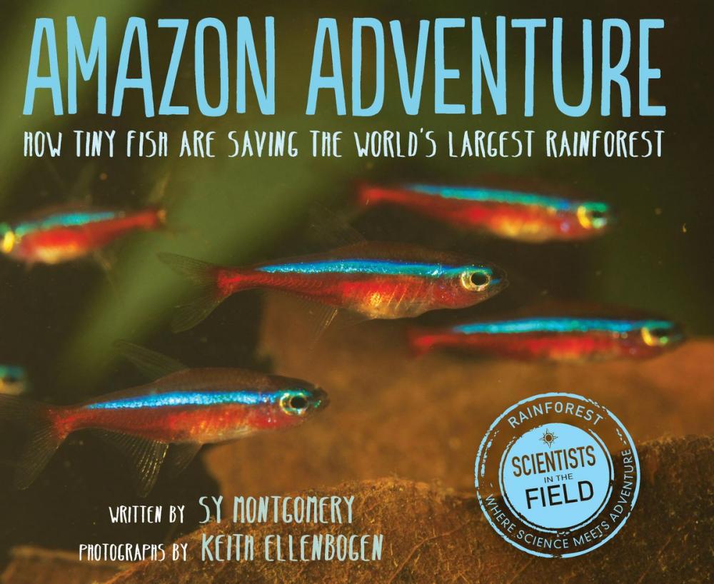 Big bigCover of Amazon Adventure