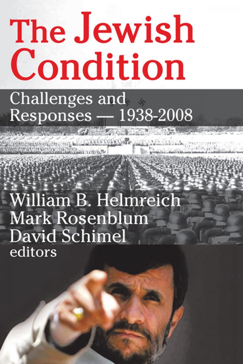 Big bigCover of The Jewish Condition