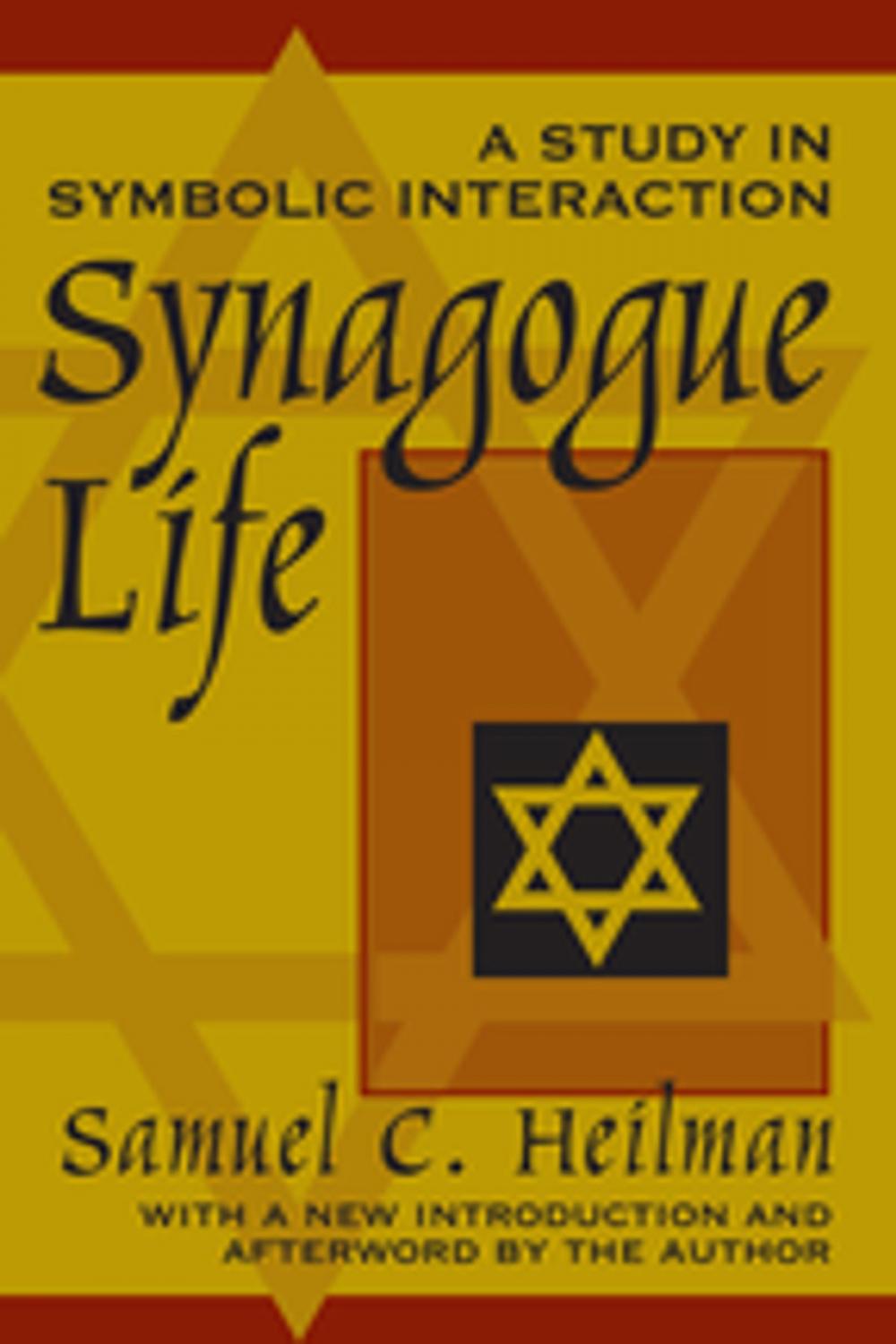 Big bigCover of Synagogue Life