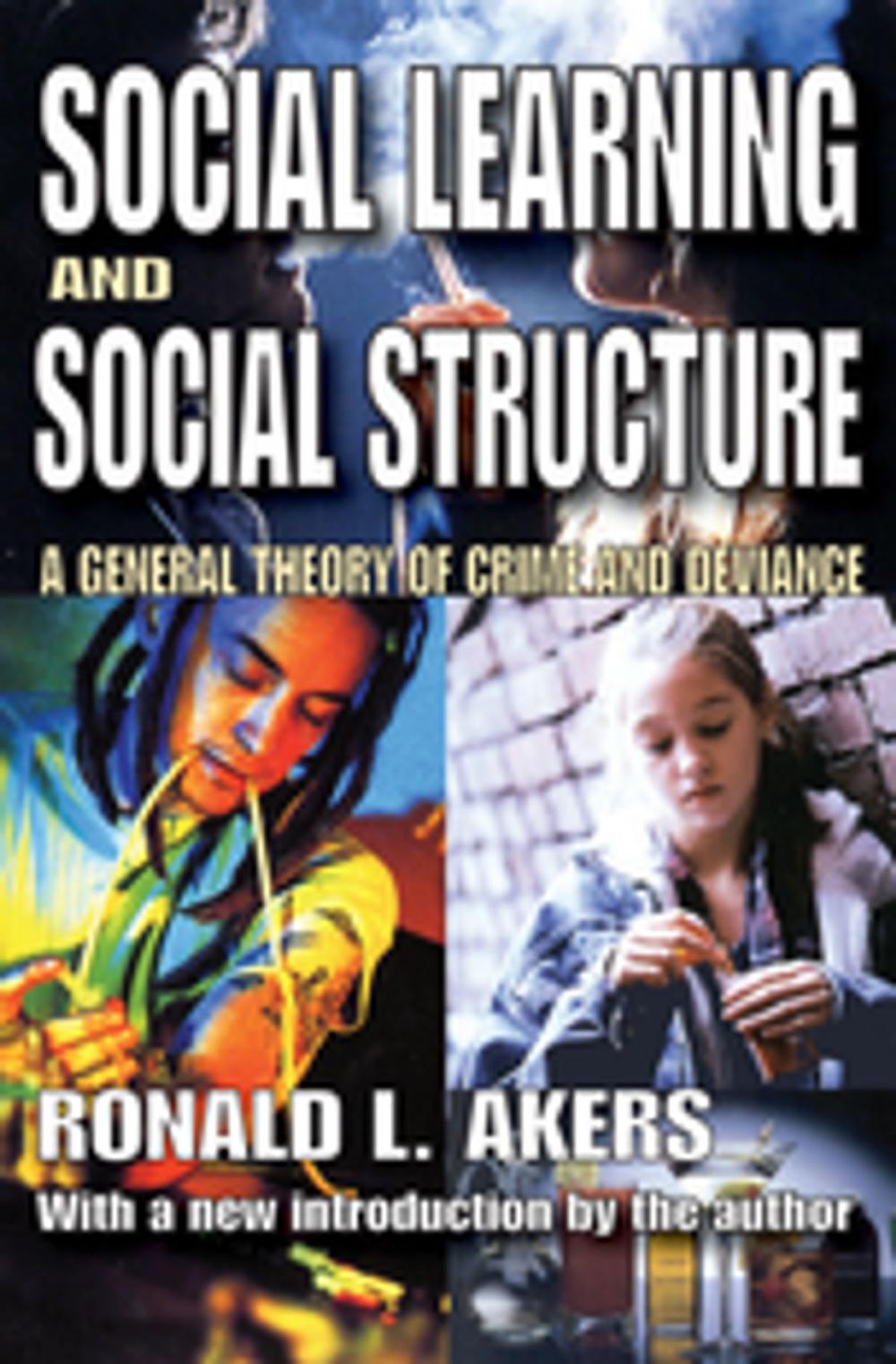 Big bigCover of Social Learning and Social Structure