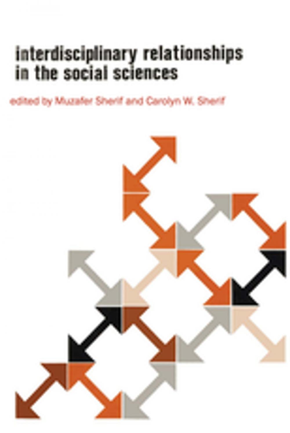 Big bigCover of Interdisciplinary Relationships in the Social Sciences