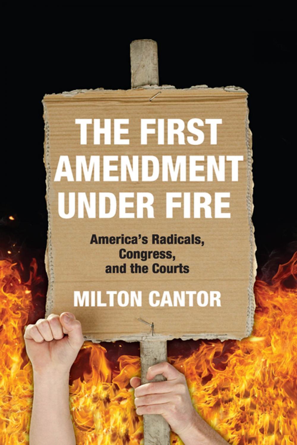 Big bigCover of First Amendment Under Fire