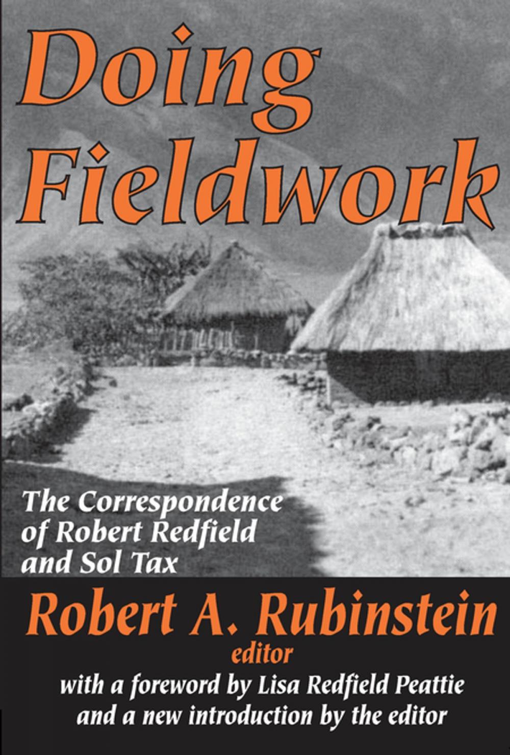 Big bigCover of Doing Fieldwork