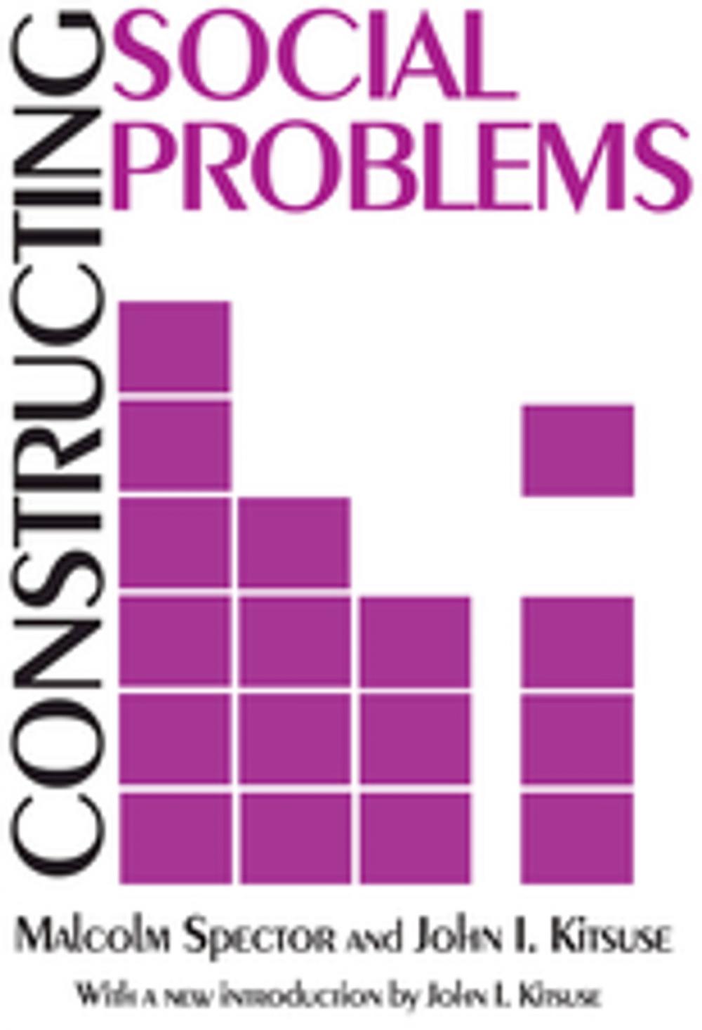 Big bigCover of Constructing Social Problems