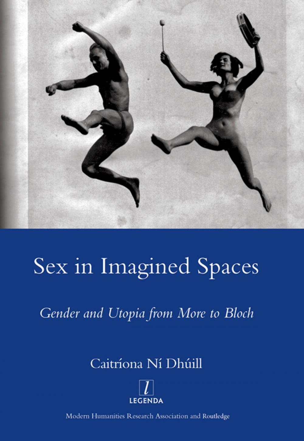 Big bigCover of Sex in Imagined Spaces