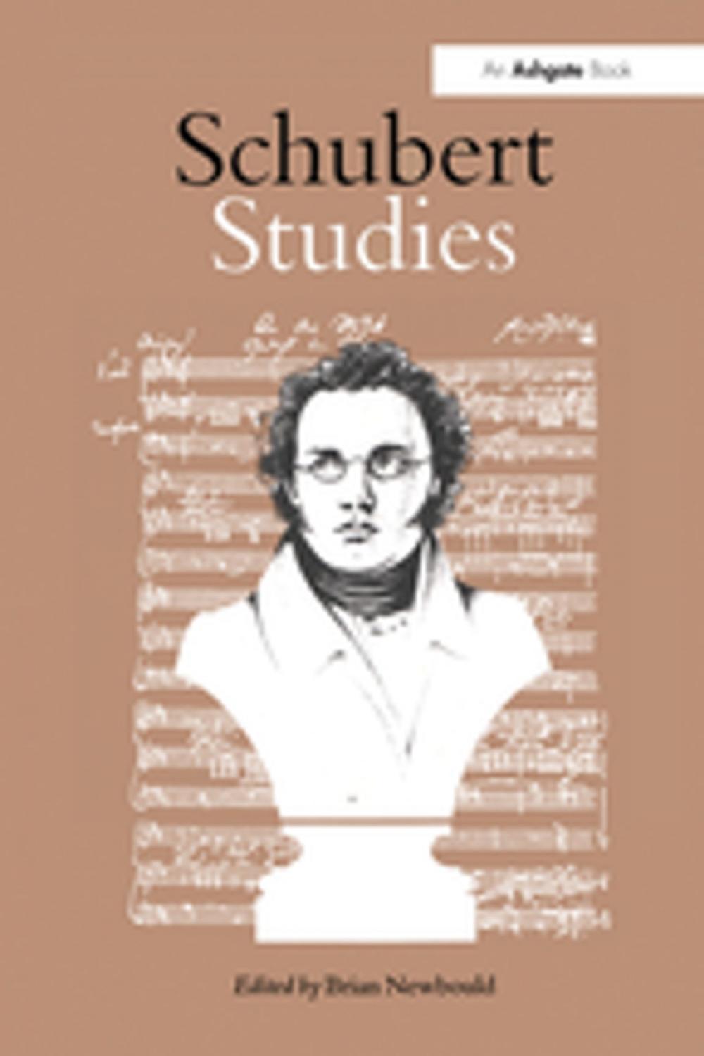 Big bigCover of Schubert Studies