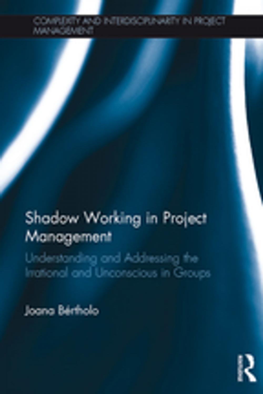 Big bigCover of Shadow Working in Project Management