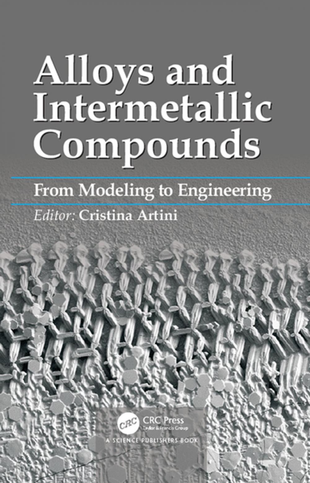 Big bigCover of Alloys and Intermetallic Compounds