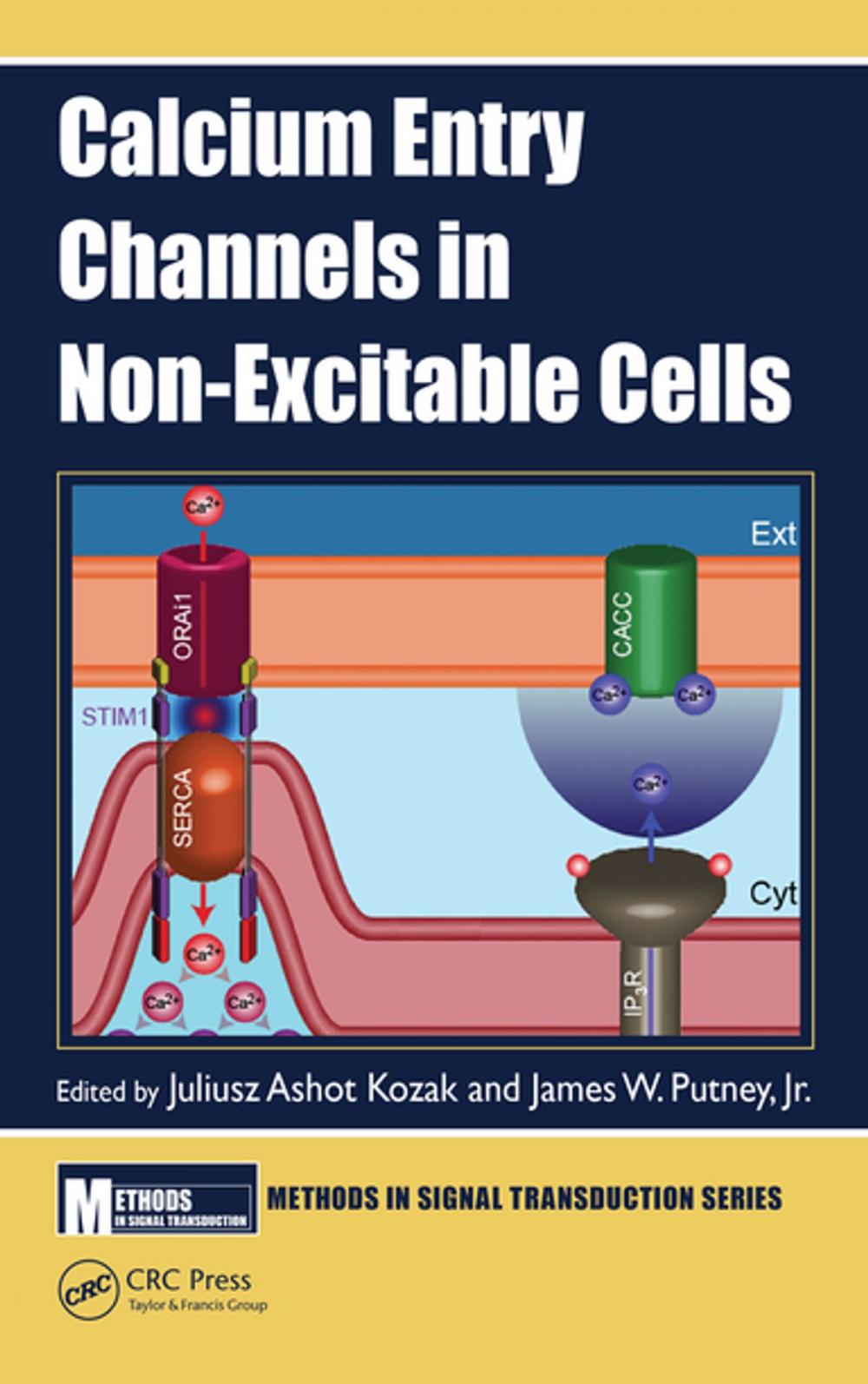 Big bigCover of Calcium Entry Channels in Non-Excitable Cells