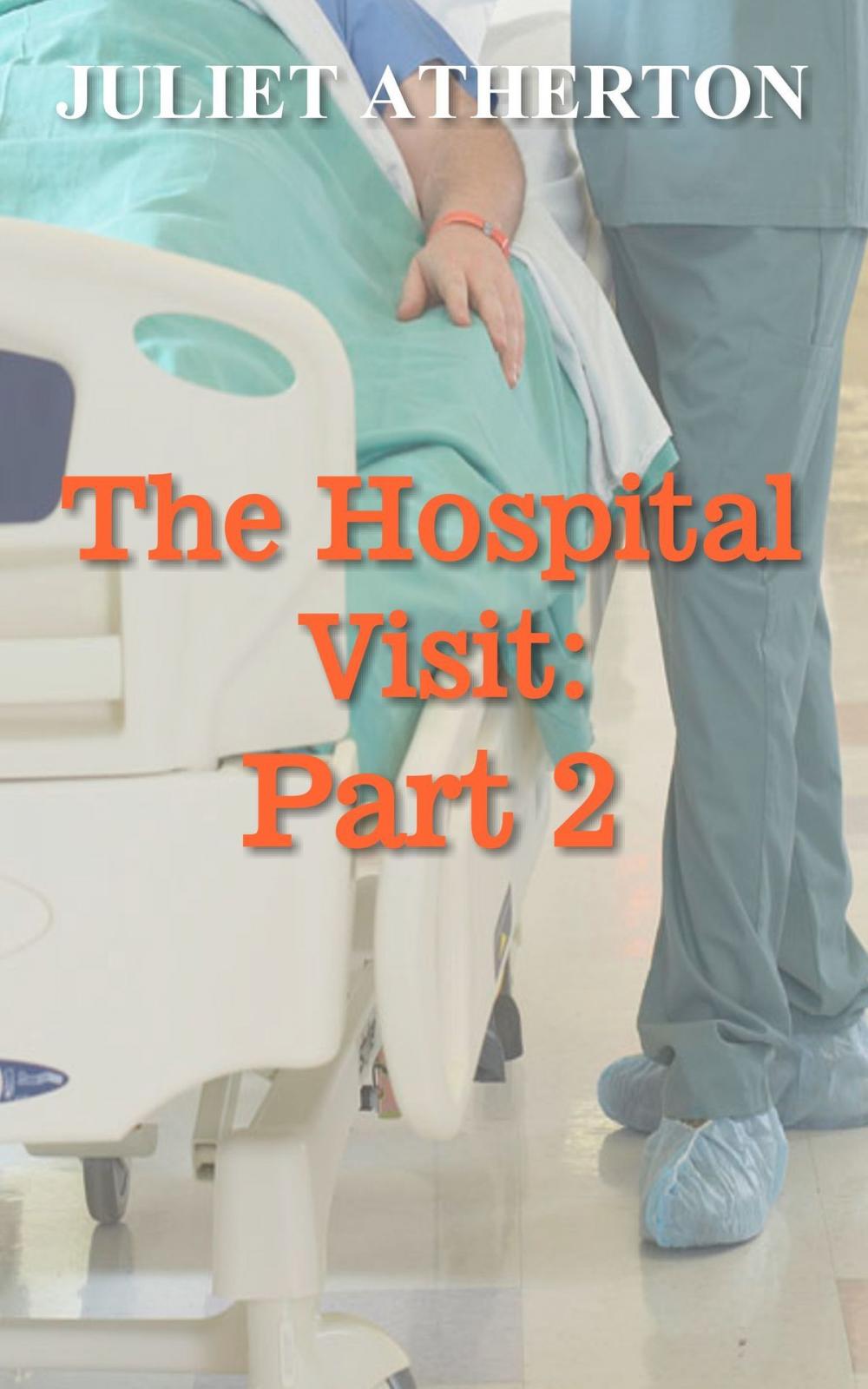 Big bigCover of The Hospital Visit: Part 2