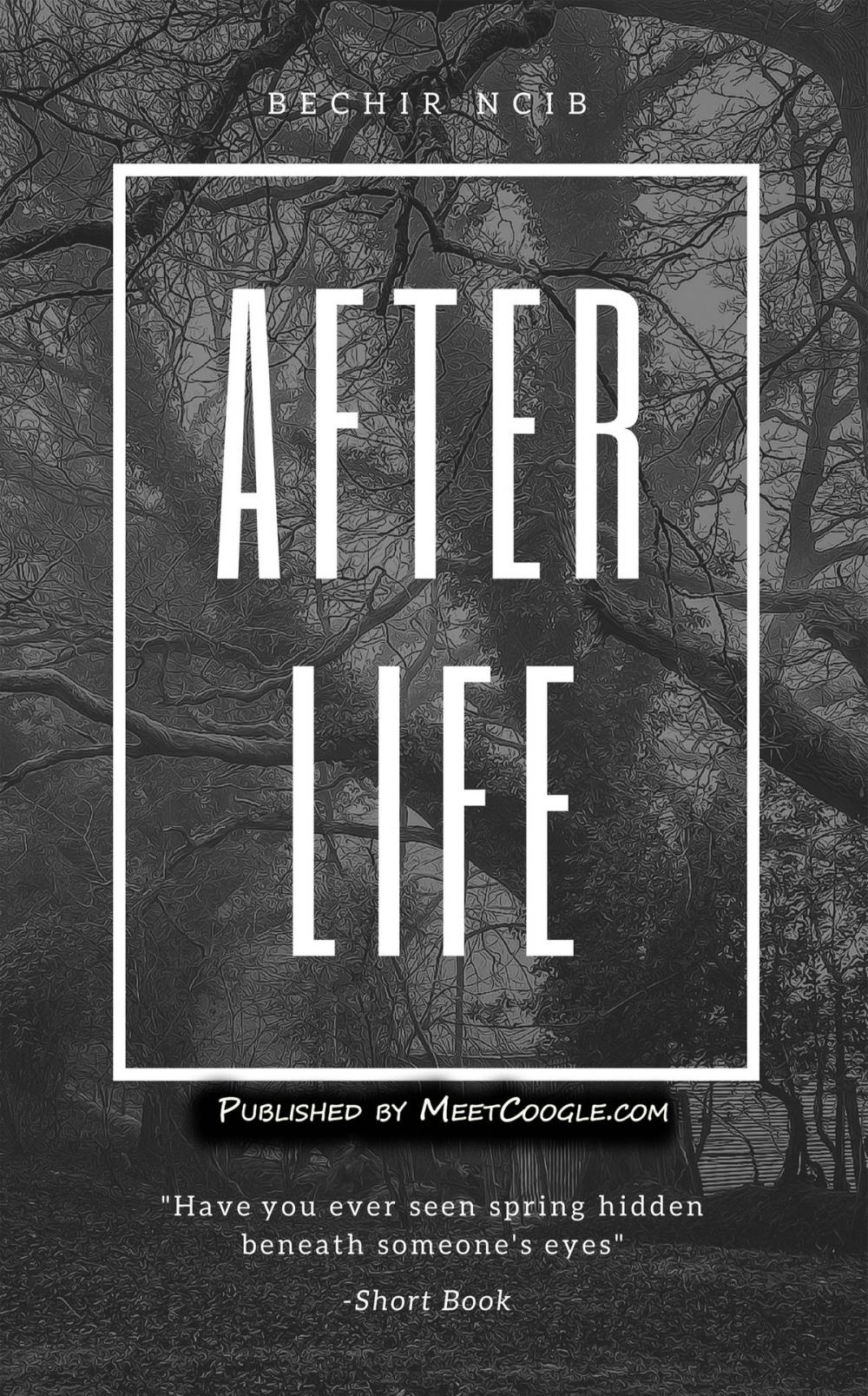 Big bigCover of After Life