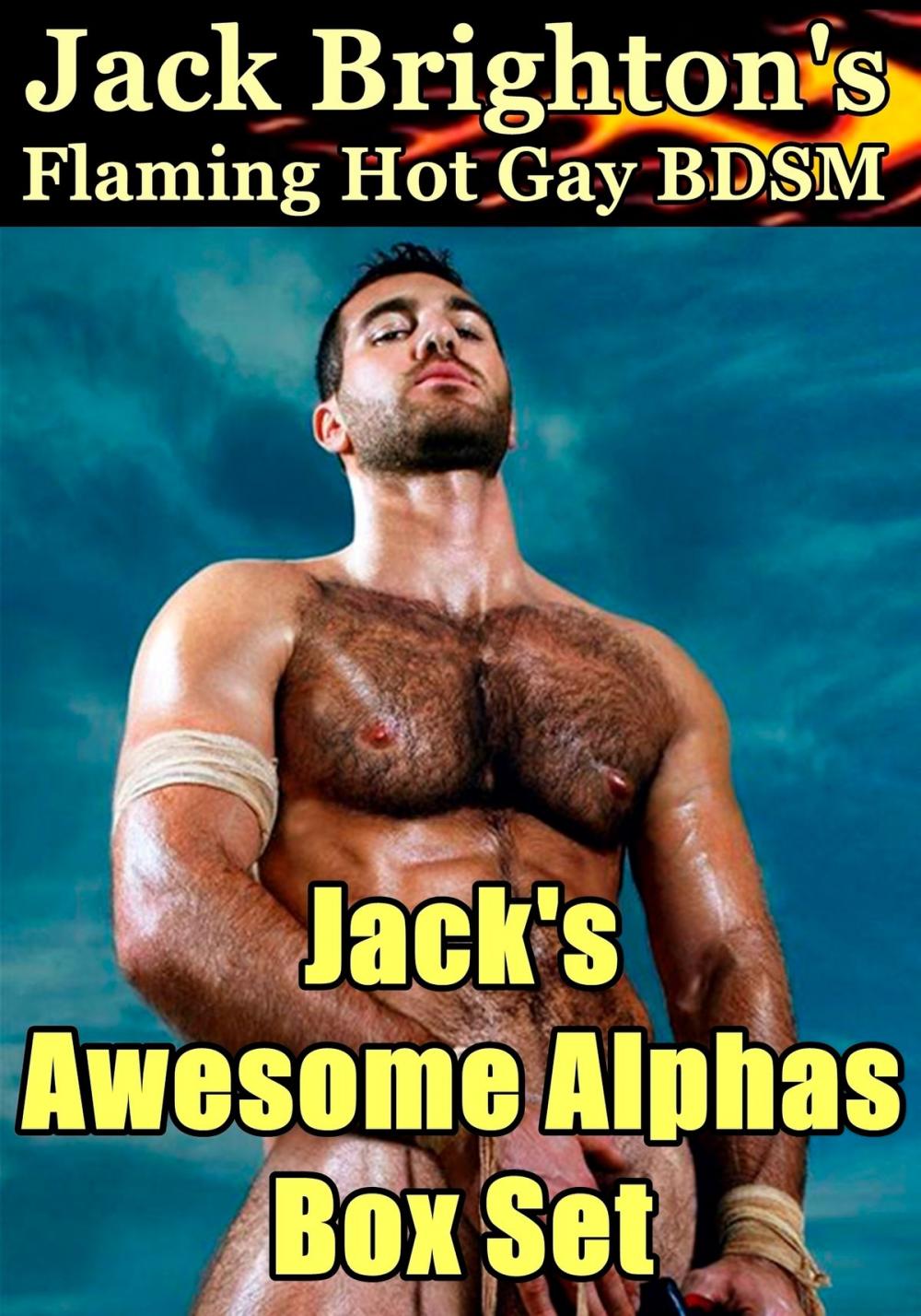 Big bigCover of Jack's Awesome Alphas Box Set