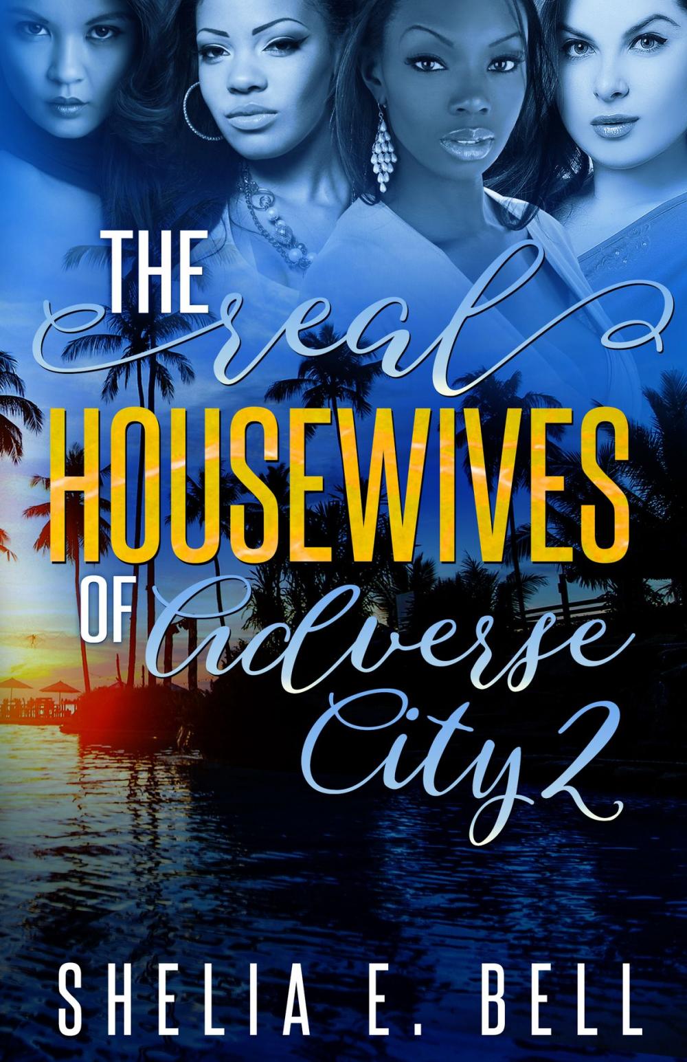 Big bigCover of The Real Housewives of Adverse City 2