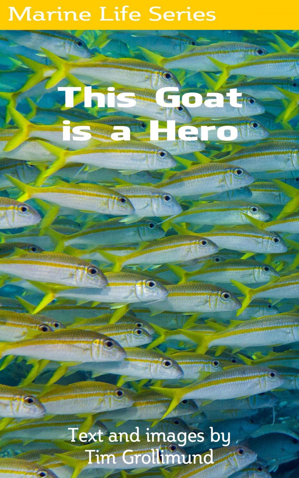 Big bigCover of This Goat Is a Hero