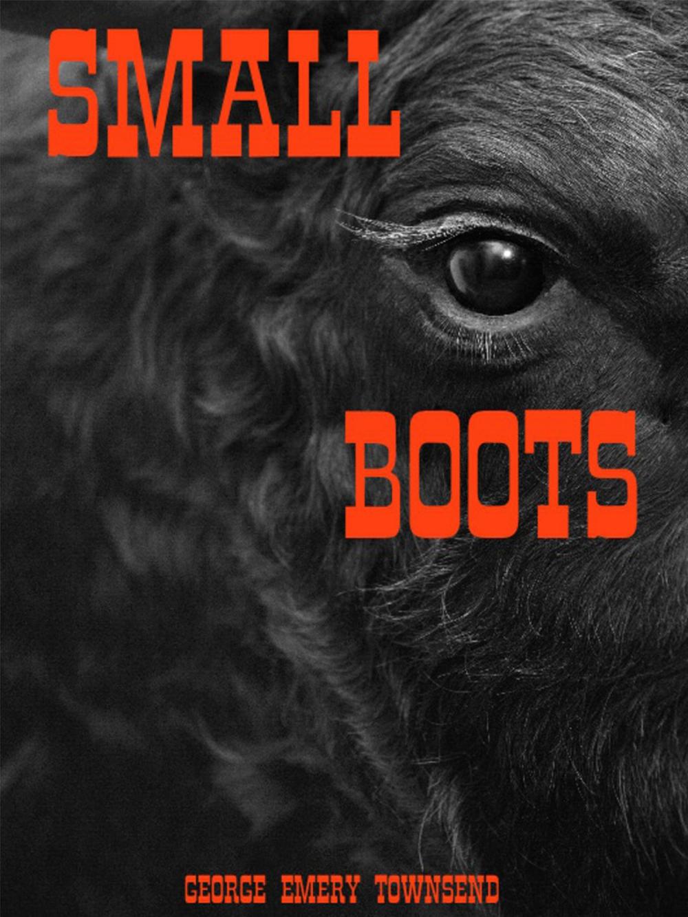 Big bigCover of Small Boots