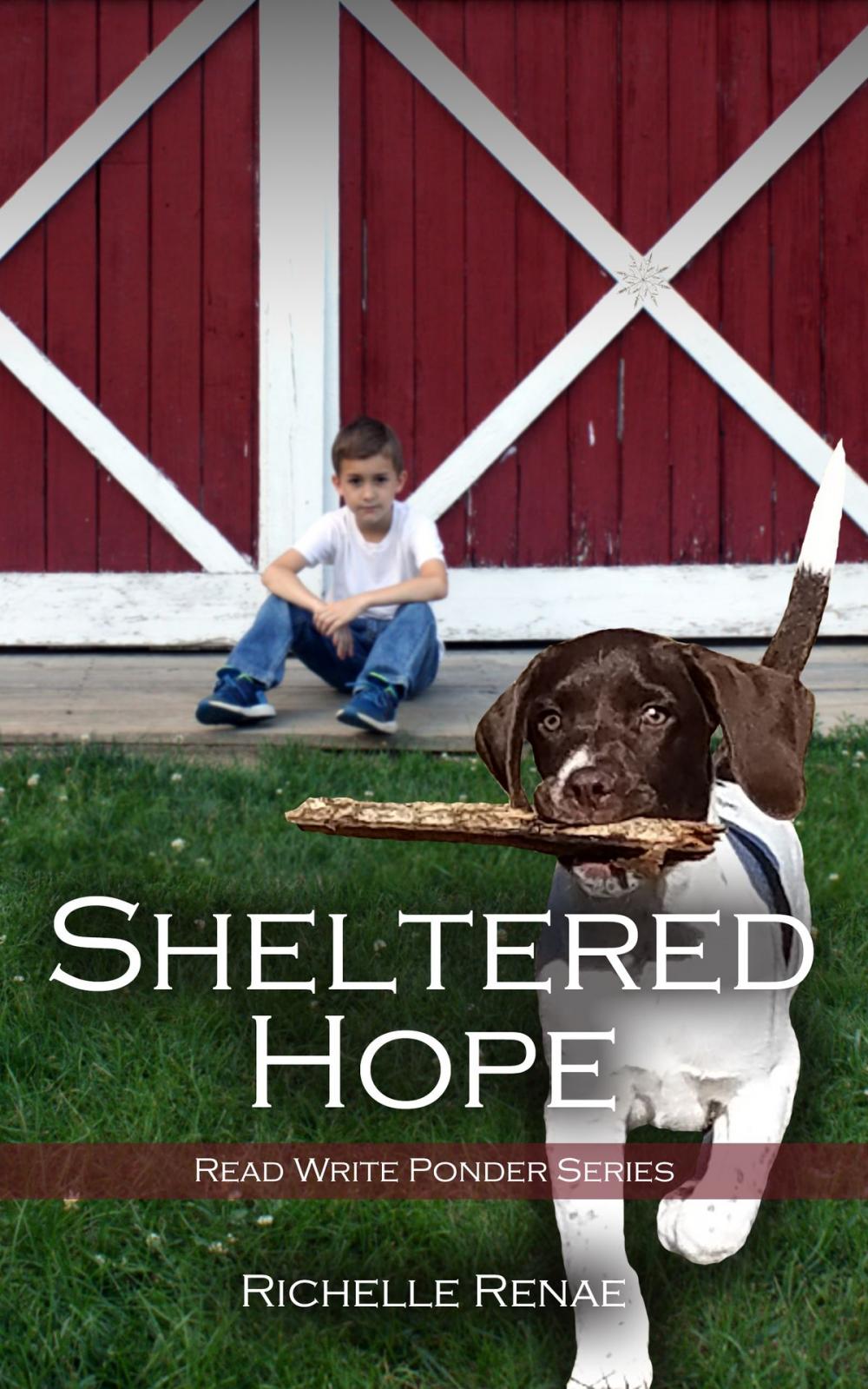 Big bigCover of Sheltered Hope