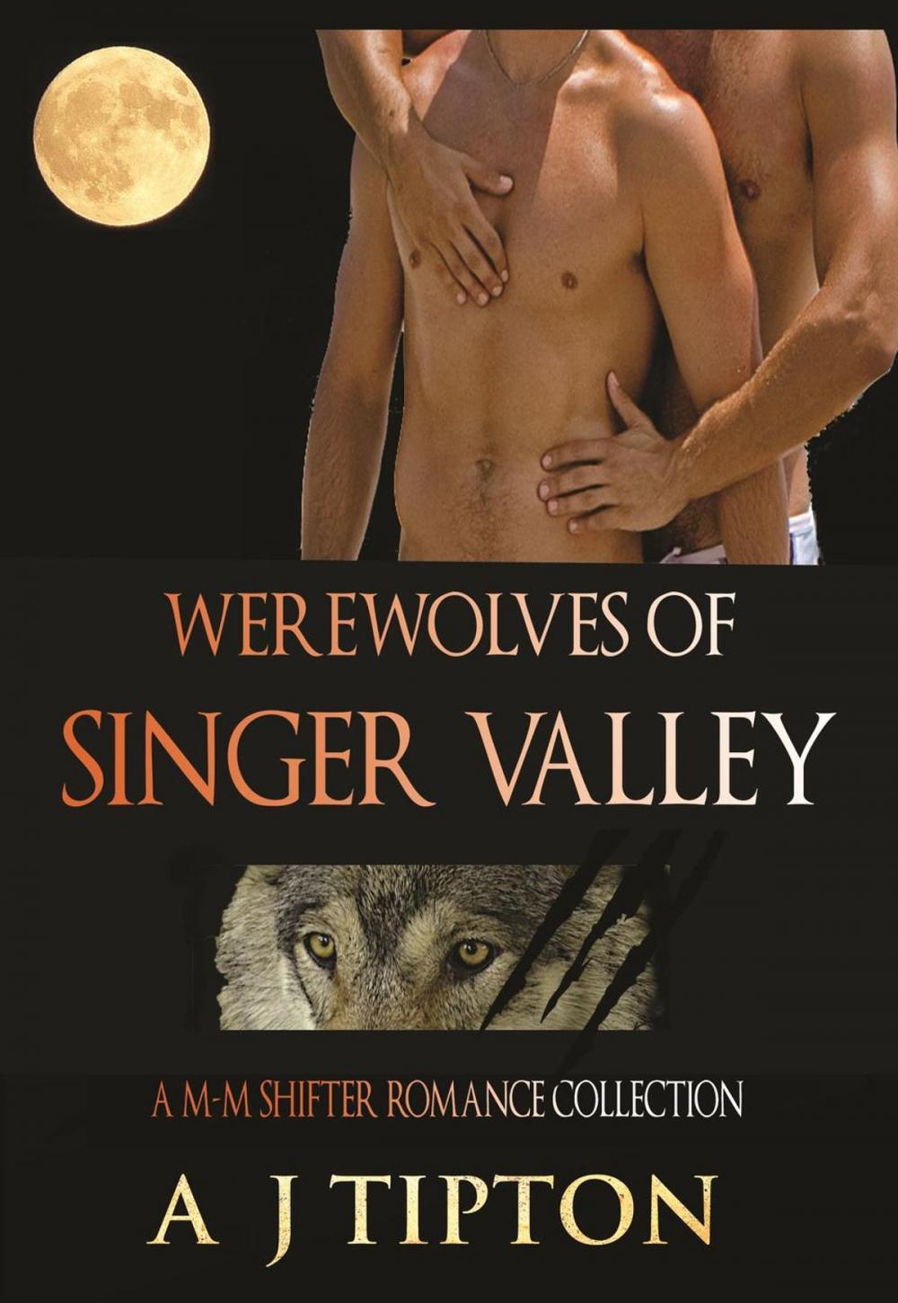 Big bigCover of Werewolves of Singer Valley: A M-M Shifter Romance Collection