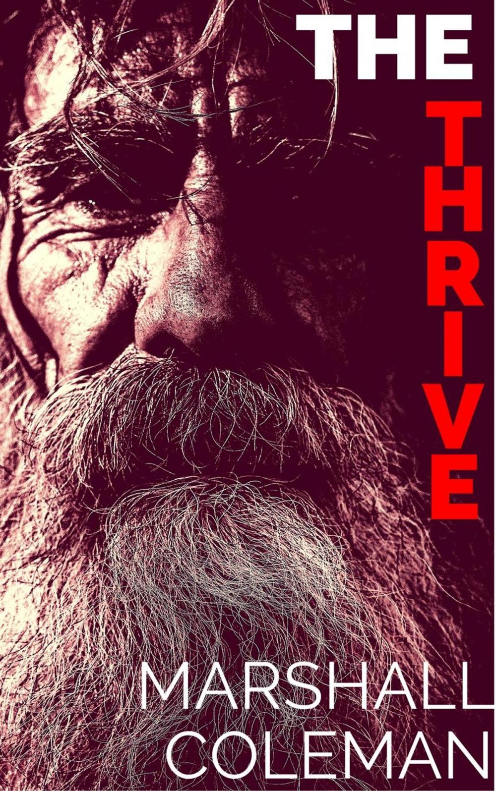 Big bigCover of The Thrive