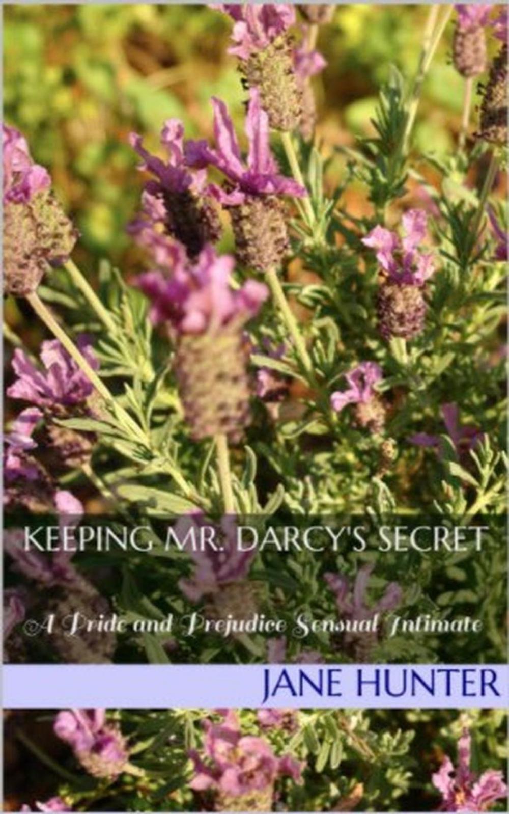 Big bigCover of Keeping Mr. Darcy's Secret