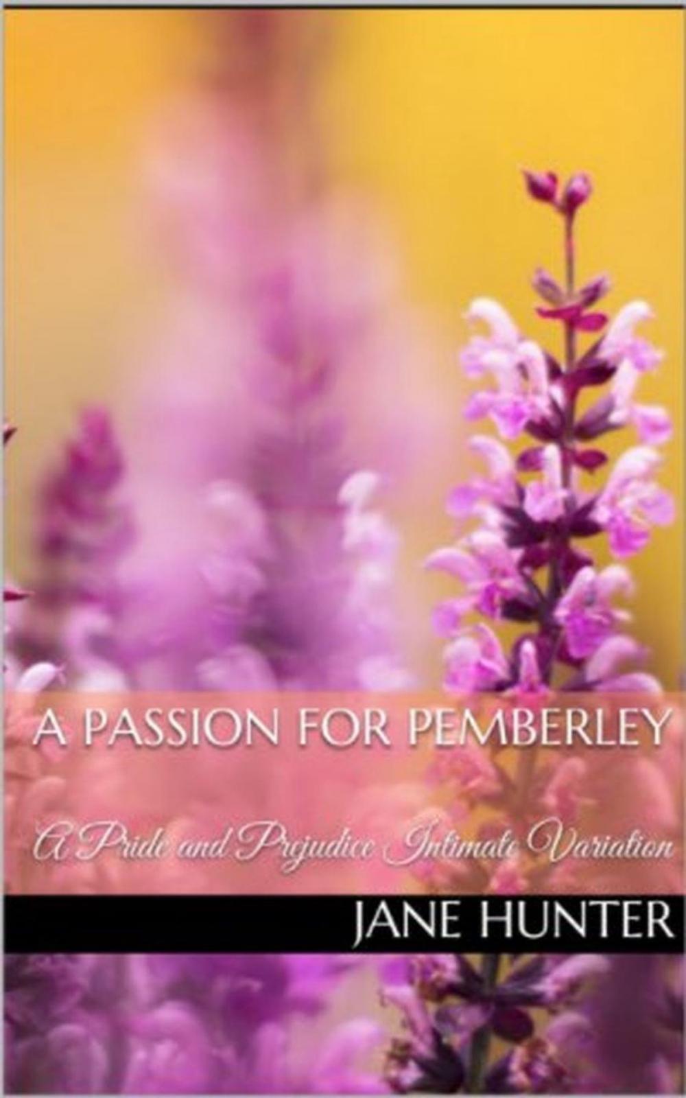 Big bigCover of A Passion for Pemberley