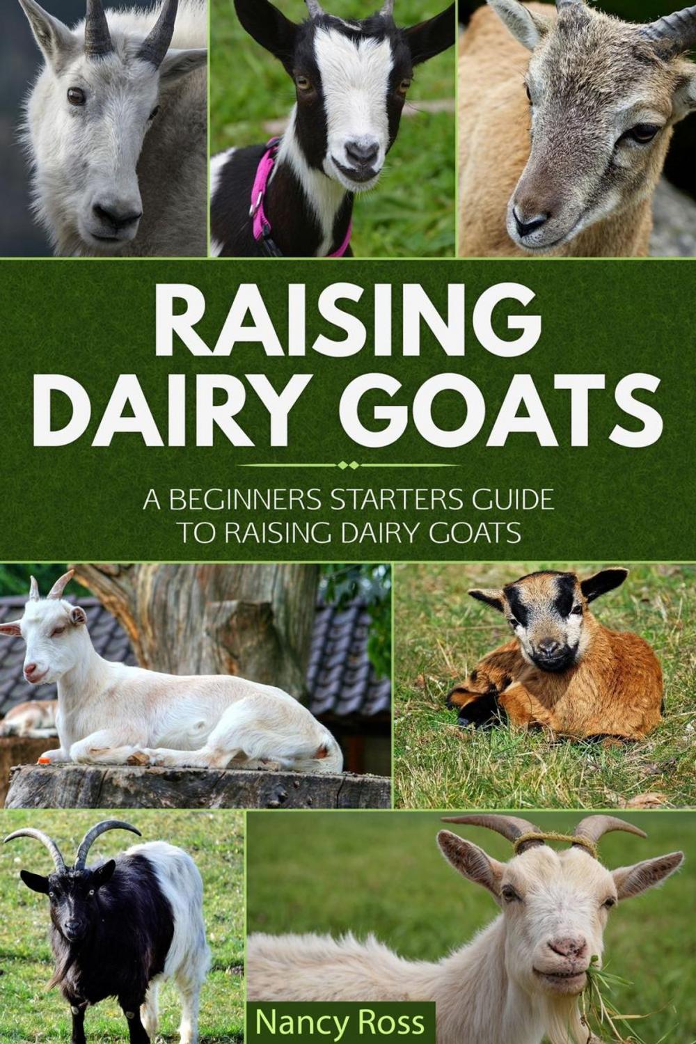 Big bigCover of Raising Dairy Goats: A Beginners Starters Guide to Raising Dairy Goats