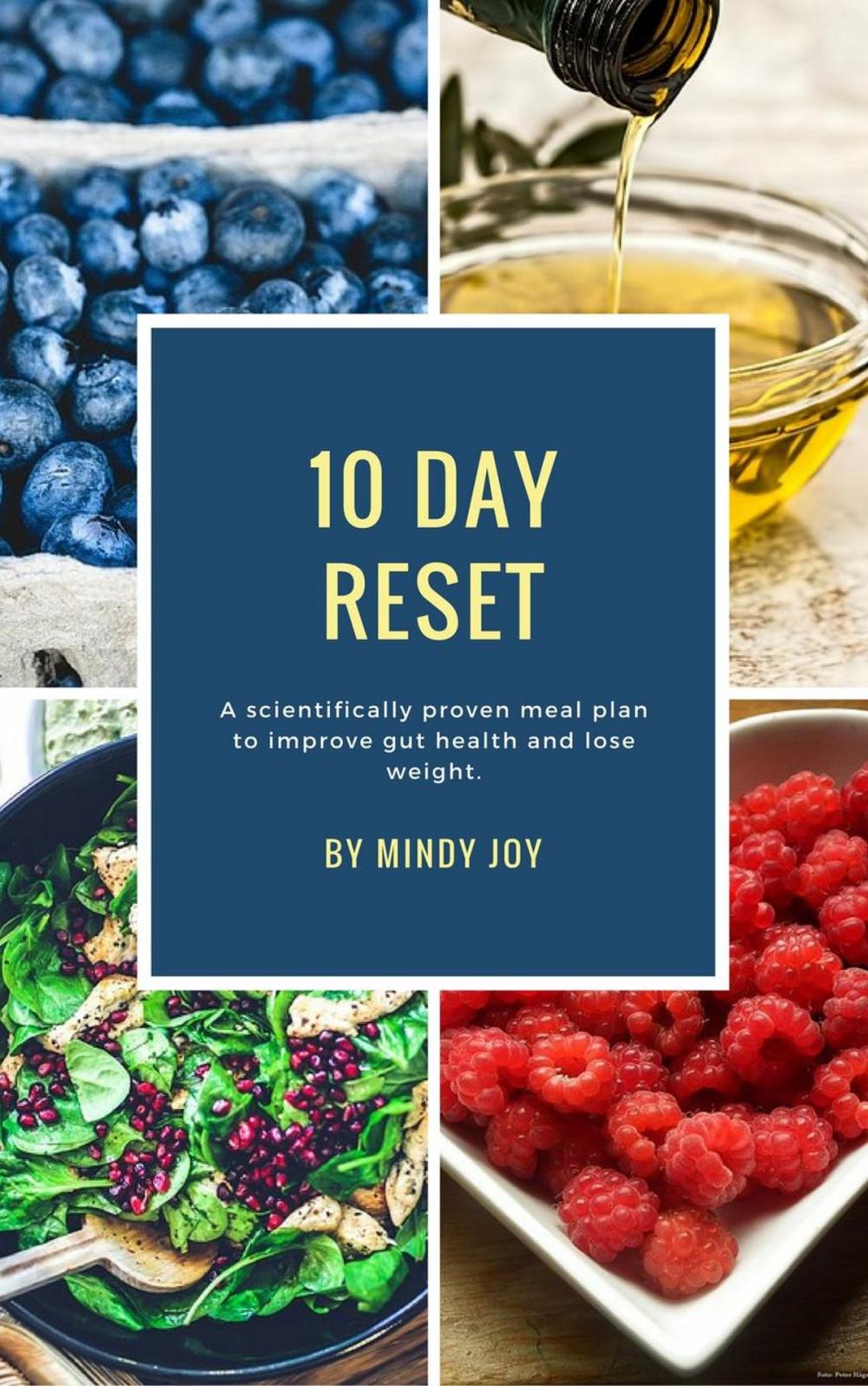 Big bigCover of 10 Day Reset