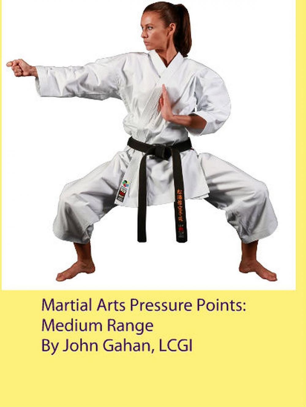 Big bigCover of Martial Arts Pressure Points: Medium Range