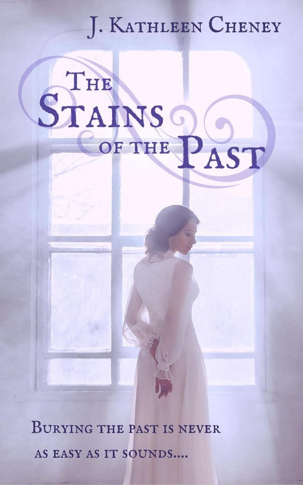 Big bigCover of The Stains of the Past