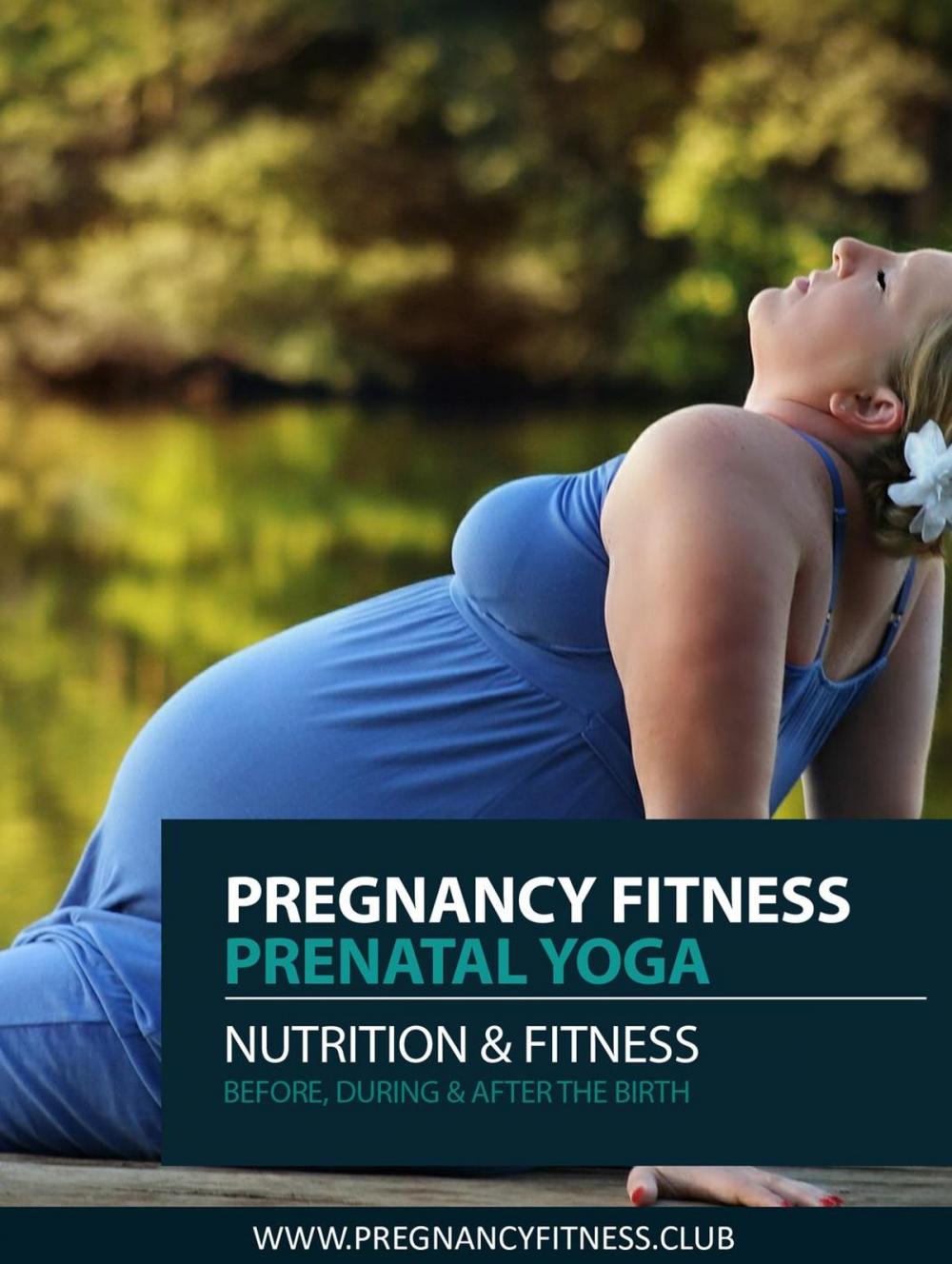 Big bigCover of Pregnancy Fitness