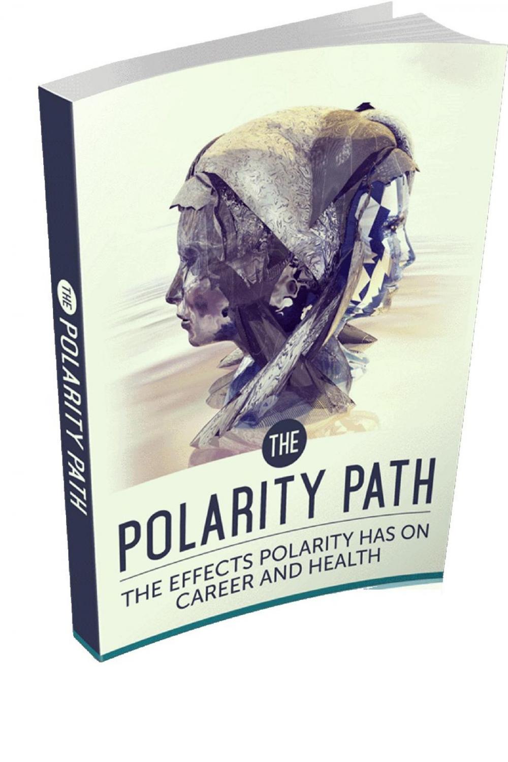 Big bigCover of THE POLARITY PATH