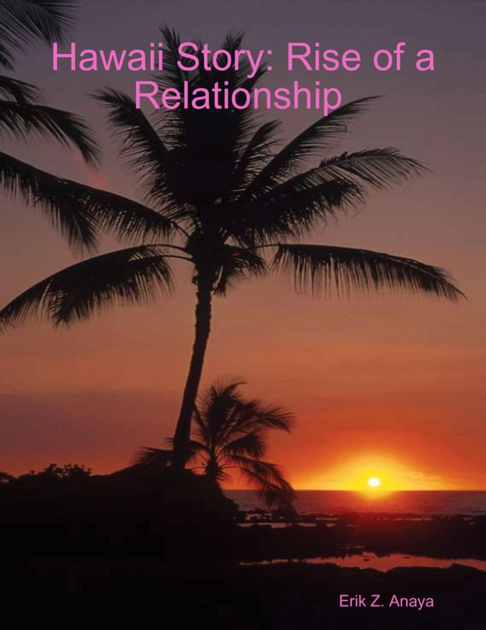 Big bigCover of Hawaii Story: Rise of a Relationship