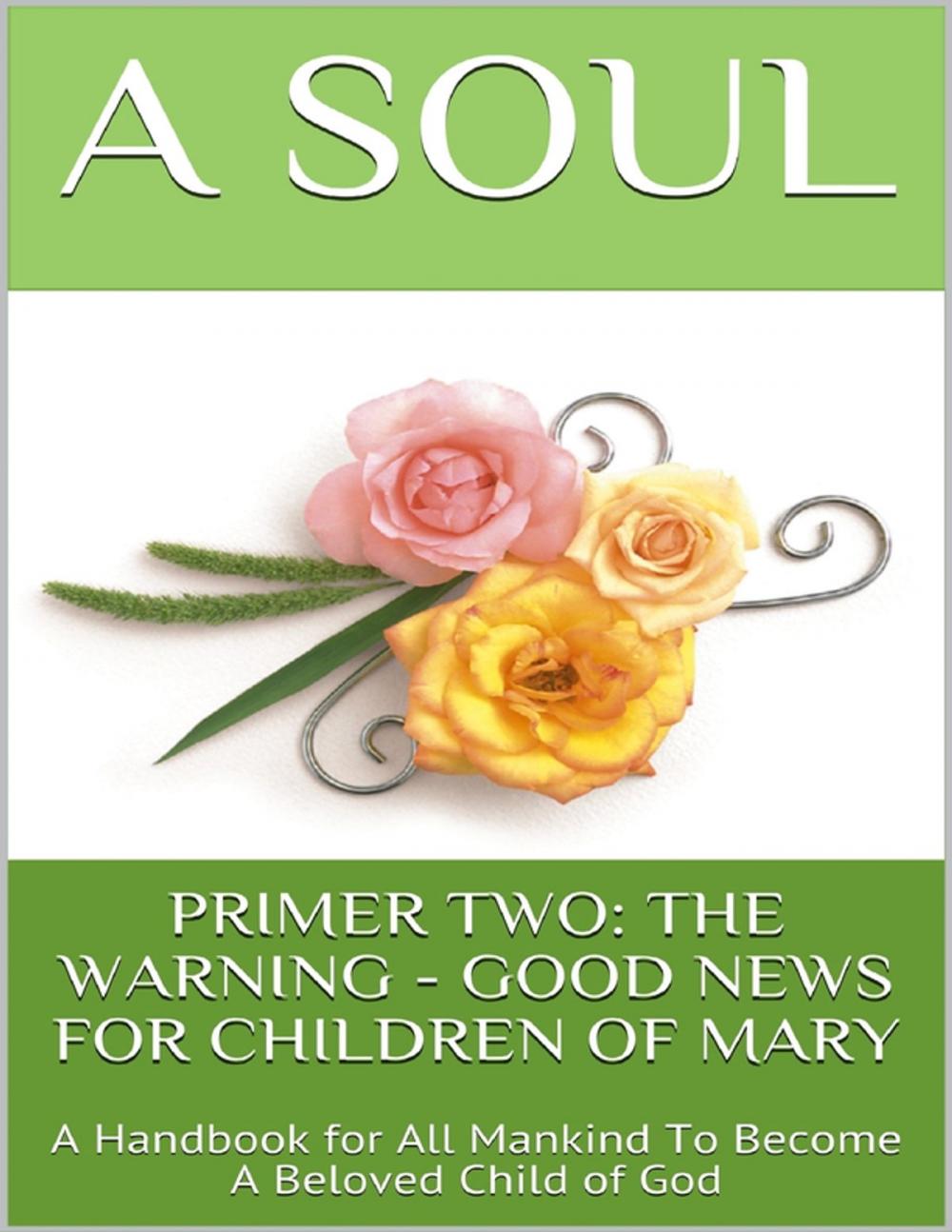 Big bigCover of Primer Two: The Warning - Good News for Children of Mary: A Handbook for All Mankind to Become a Beloved Child of God