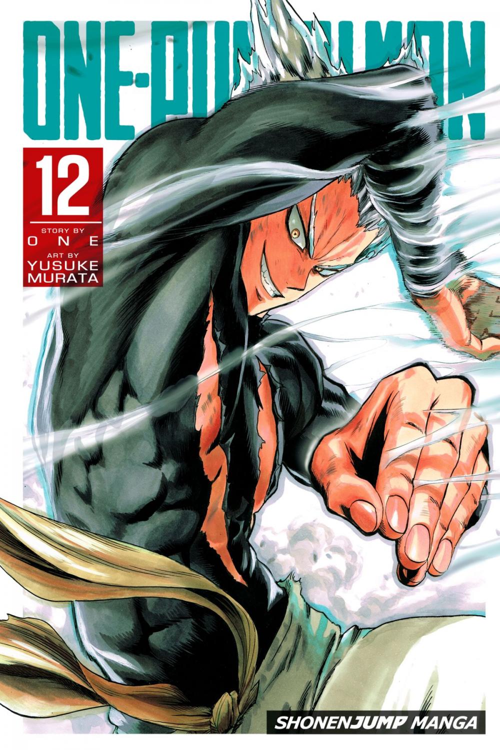 Big bigCover of One-Punch Man, Vol. 12